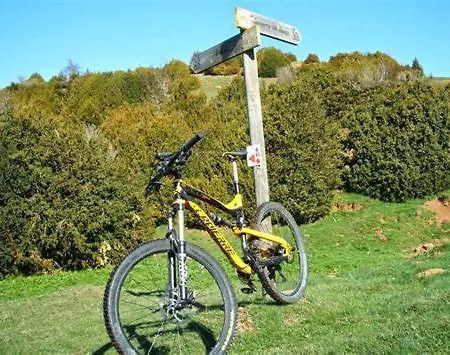 Irene En El Pirineo Aragones Apartment *